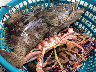 探海鮮萬山 | 海鮮美食節探鮮團招募，免費吃喝玩樂等你來！